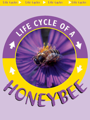 cover image of Honeybee
